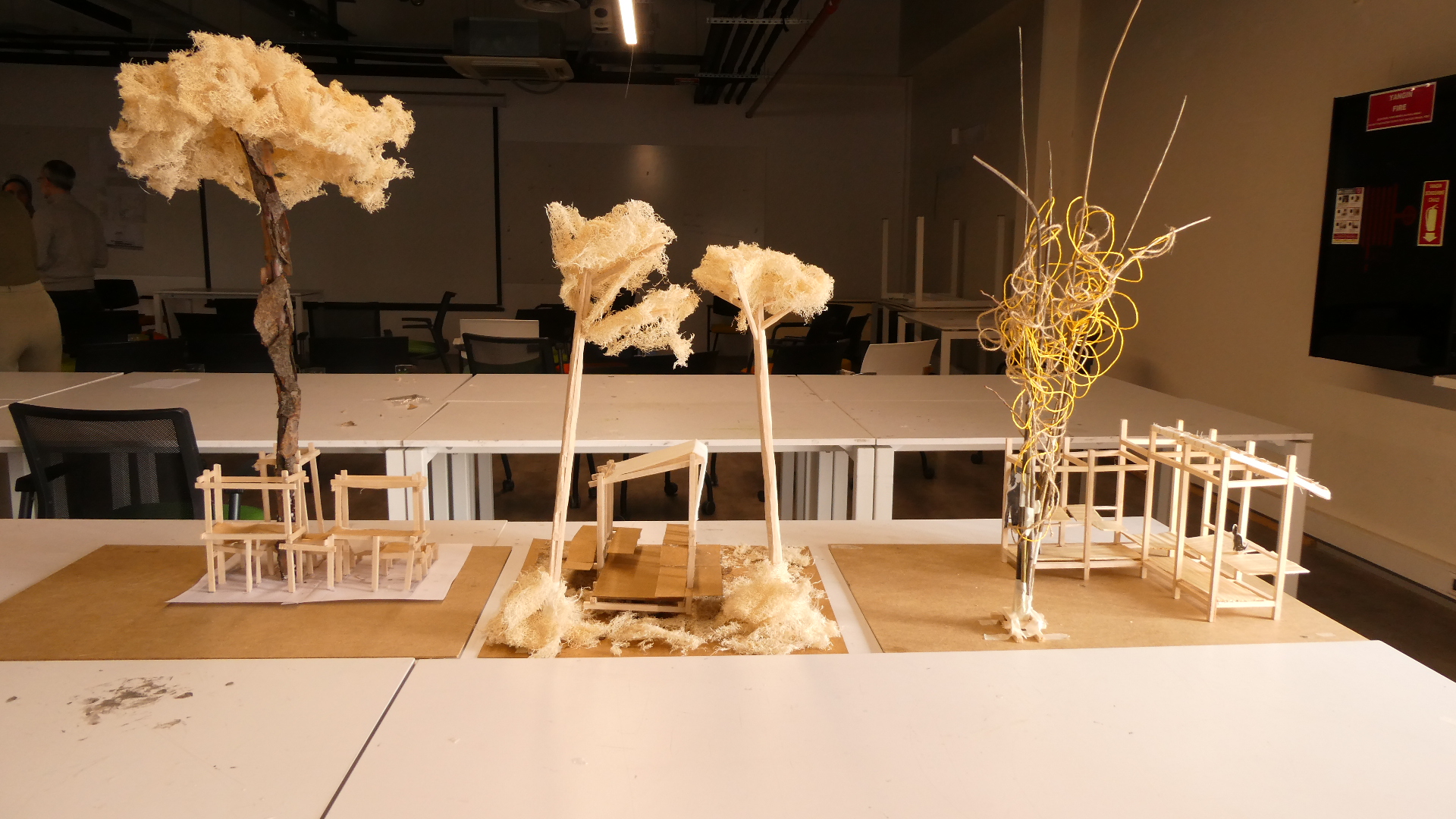 P1001356.JPG (991 KB)